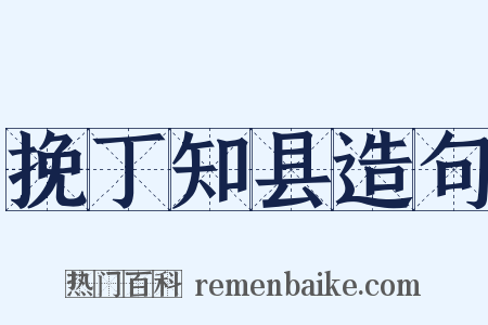 挽丁知县造句是什么意思的图片